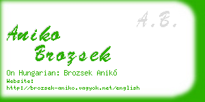 aniko brozsek business card