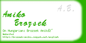 aniko brozsek business card